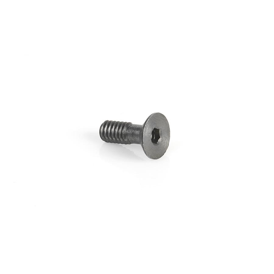 AMANA 67011 SCREW TO HOLD BB (ECO TOOLS)